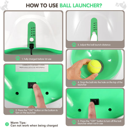 Automatic Ball Thrower